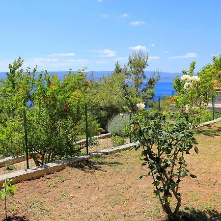 Studio Marusici 1024c Apartament Mimice